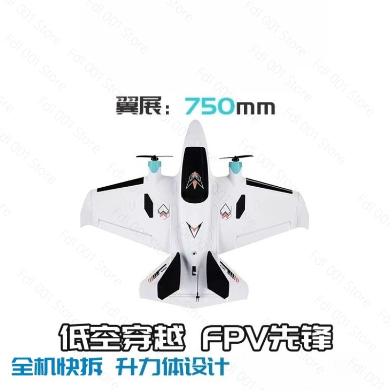Avion RC à aile fixe FPV à dou - Drone Rc Racing avis et prix
